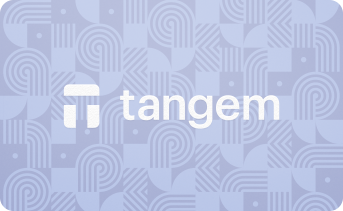 Tangem cold wallet – wintereditie met uniek patroon